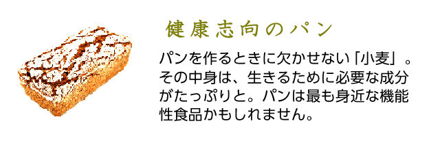 パンを作るときに欠かせない「小麦」。その中身は、生きるために必要な成分がたっぷりと。パンは最も身近な機能性食品かもしれません。