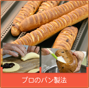 プロのパン製法